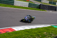 cadwell-no-limits-trackday;cadwell-park;cadwell-park-photographs;cadwell-trackday-photographs;enduro-digital-images;event-digital-images;eventdigitalimages;no-limits-trackdays;peter-wileman-photography;racing-digital-images;trackday-digital-images;trackday-photos
